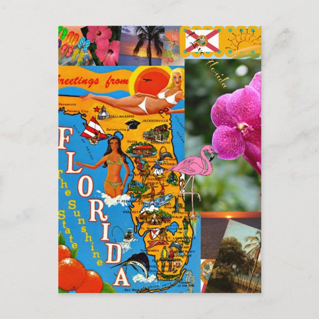 Postal Amo Florida (Anverso)