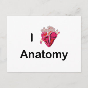 Postal ¡Amo la anatomía con el corazón humano!
