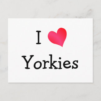 Postal Amo los Yorkies