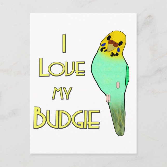 Postal Amo mi Budgie (Anverso)