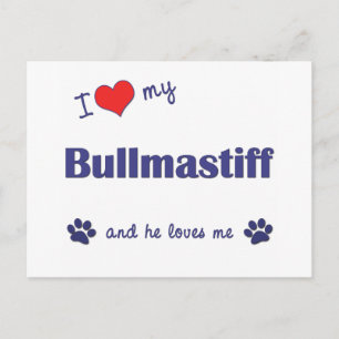Postal Amo Mi Bullmastiff (Perro Masculino)