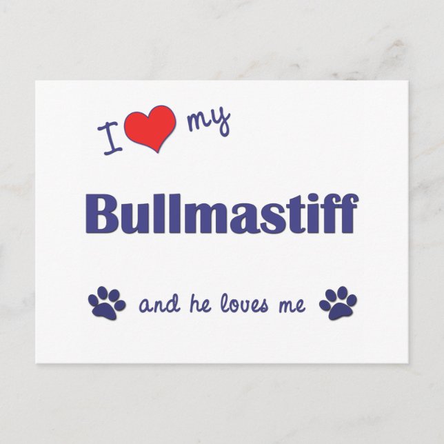 Postal Amo Mi Bullmastiff (Perro Masculino) (Anverso)