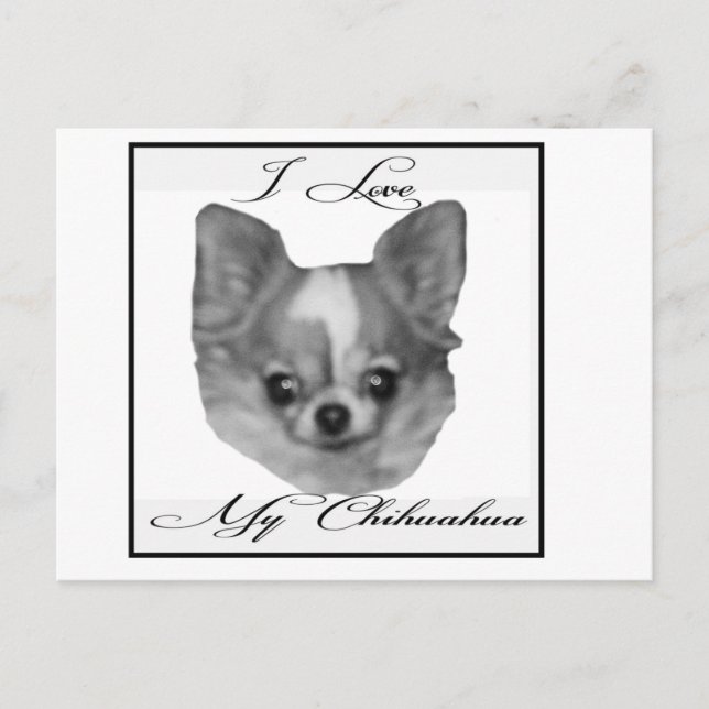 Postal Amo mi chihuahua (Anverso)
