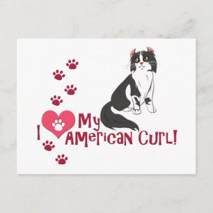 Postal ¡Amo Mi Curl Americano!