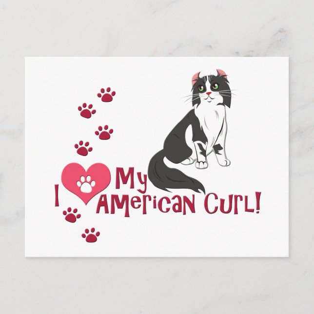Postal ¡Amo Mi Curl Americano! (Anverso)