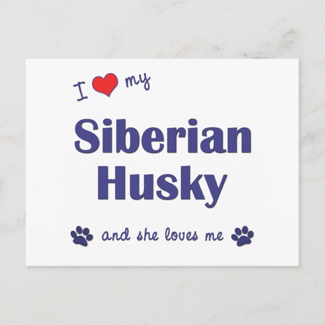 Postal Amo Mi Husky Siberiano (Perro Femenino) (Anverso)