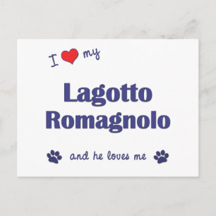 Postal Amo mi Lagotto Romagnolo (Perro macho)
