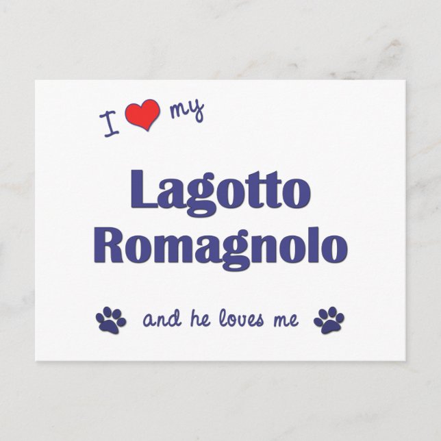 Postal Amo mi Lagotto Romagnolo (Perro macho) (Anverso)