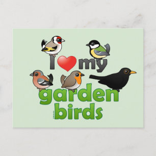 Postal Amo Mis Aves Jardín