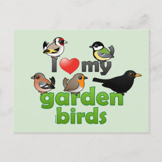Postal Amo Mis Aves Jardín