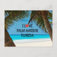 Amo Palm Harbor, Florida