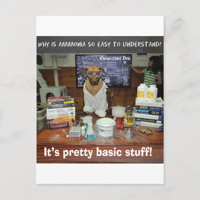 Postal amoniaco básico.jpg (Anverso)