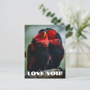 Postal Amor
