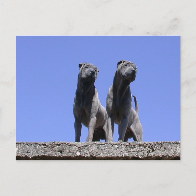 Postal Amor... (Anverso)