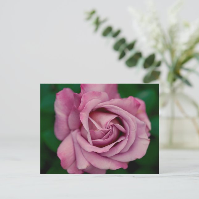 Postal Amor (Anverso de pie)