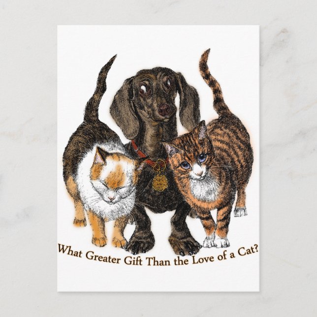 Postal amor a un gato (Anverso)