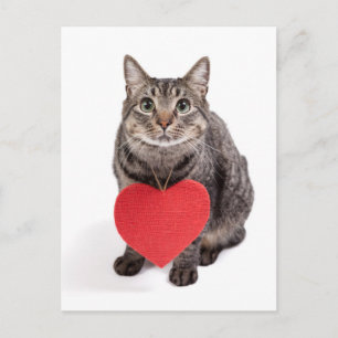 Postal Amor al gato