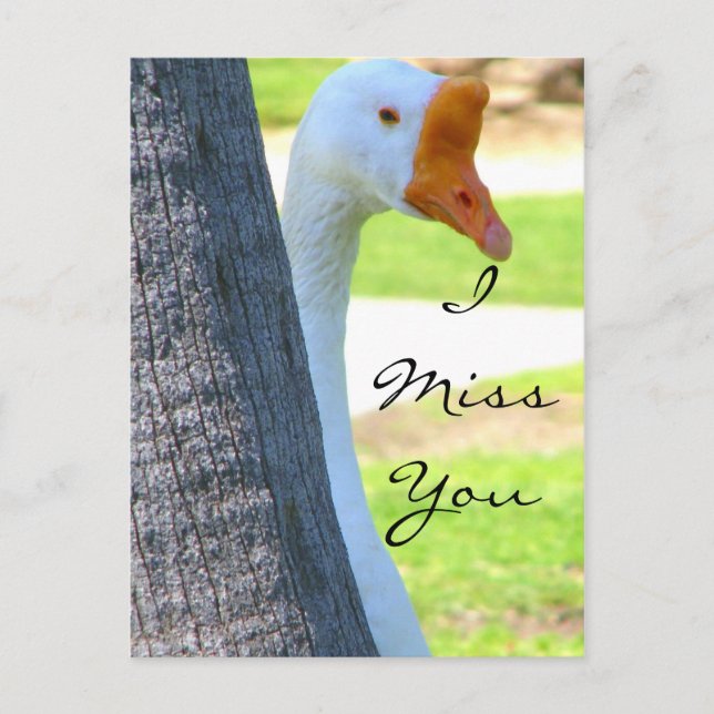 Postal Amor/cualquier ocasión_postal (Anverso)