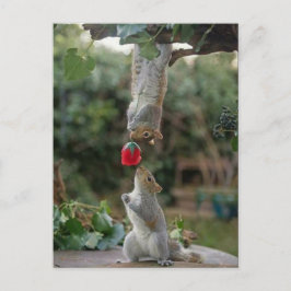Postal Amor de Ardilla
