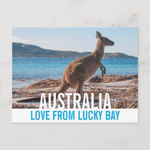 Postal Amor De Australia Kangaroo Lucky Bay Photo