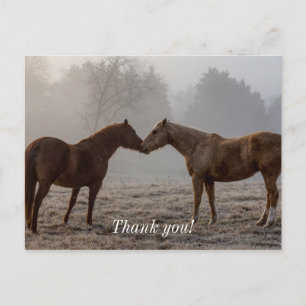 Postal Amor de Caballo Gracias
