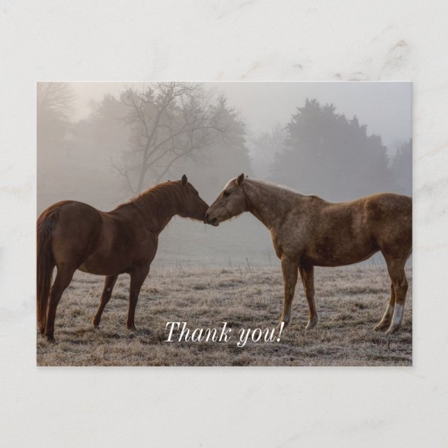 Postal Amor de Caballo Gracias (Anverso)