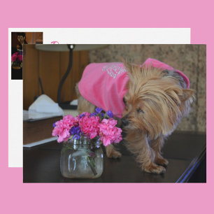 Postal Amor de cachorro Yorkie Bonito en rosa