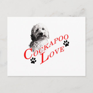 Postal Amor de Cockapoo