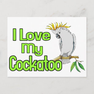 Postal Amor de Cockatoo