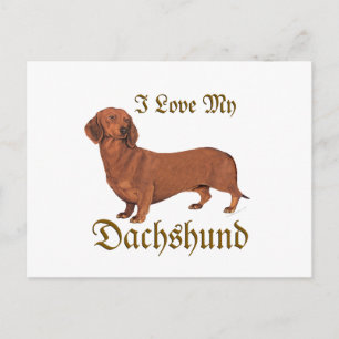 Postal Amor de Dachshund