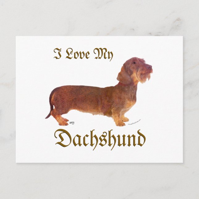 Postal Amor de Dachshund (Anverso)
