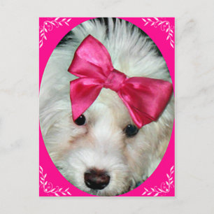 Postal Amor de las putas_