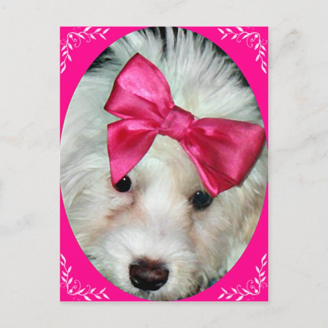 Postal Amor de las putas_ (Anverso)