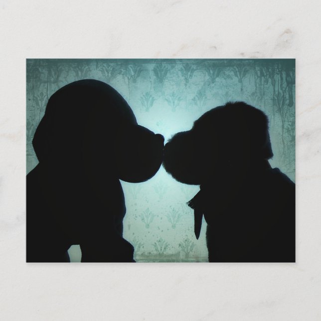 Postal Amor de los cachorros (Anverso)