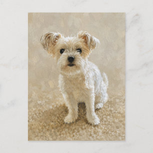 Postal Amor de Morkie