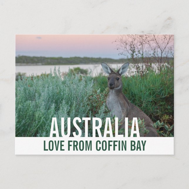 Postal Amor desde Australia Kangaroo Pink Sunset Lake (Anverso)