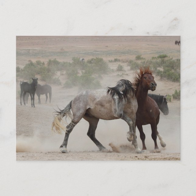 Postal Amor duro (Anverso)