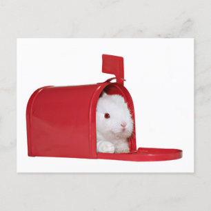 Postal Amor en el correo