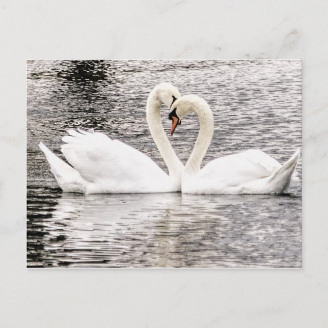 Postal Amor eterno (Anverso)