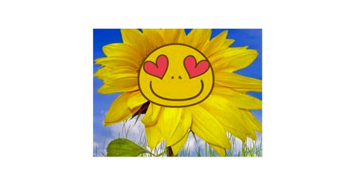 Postal Amor Feliz Girasol Colorido Flor Animada Zazzle Es