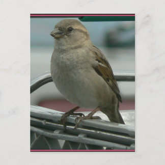 Postal Amor levantado: Cart Bird