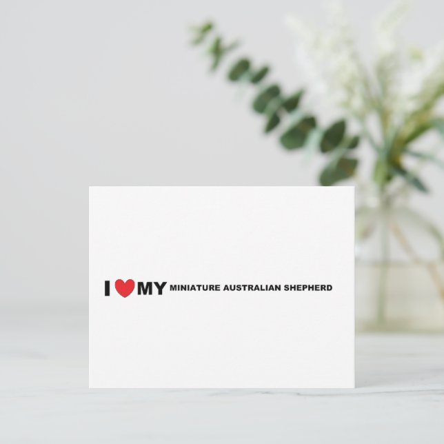 Postal amor pastor australiano miniatura (Anverso de pie)