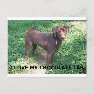 Postal Amor por el chocolate lab LR con foto