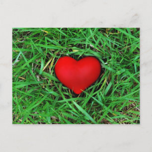 Postal Amor respetuoso con el medio ambiente - Postcard