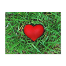 Amor respetuoso con el medio ambiente - Postcard