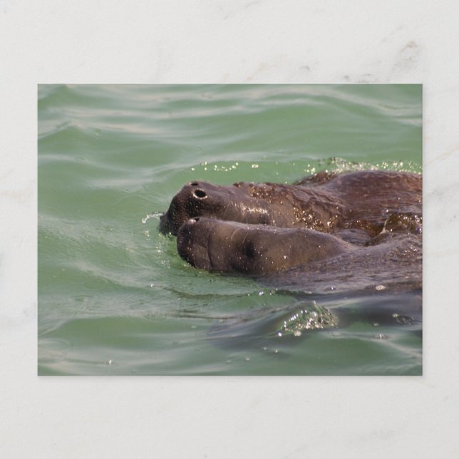 Postal Amor suave (Anverso)