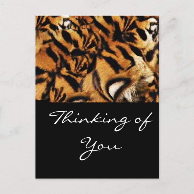 Postal Amor tigre_ (Anverso)