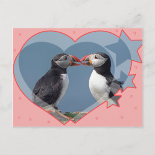 Postal Amor y pájaros