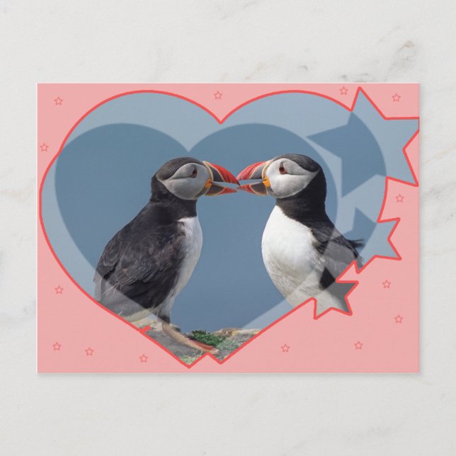 Postal Amor y pájaros (Anverso)