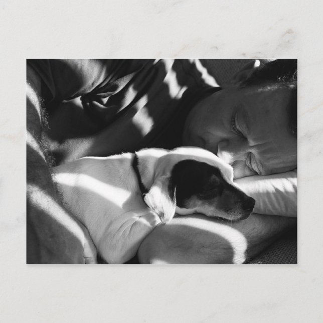 Postal Amortiguar (Anverso)